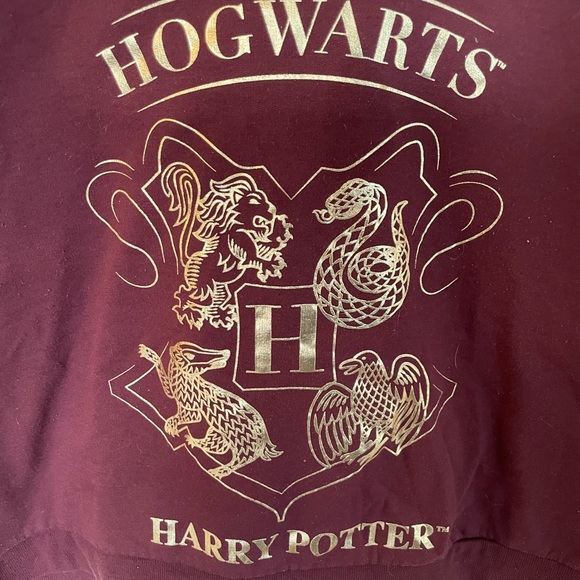 Harry Potter Hoodie - Picture 2 of 5